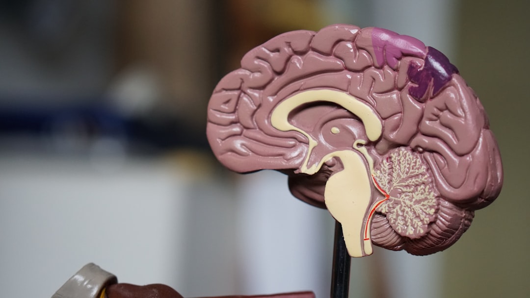 Ilustrare care prezintă semnele timpurii ale bolii Alzheimer și metode de prevenție
