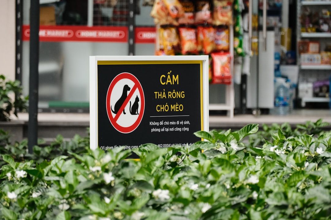 Imagine simbolică cu un ordin de protecție în contextul violenței domestice